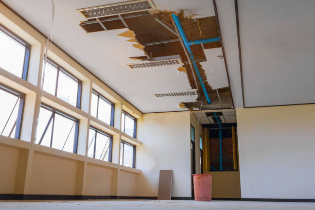  Merryville, LA Water damage restoration Pros