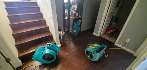 Best Water damage restoration near me  in Merryville, LA
