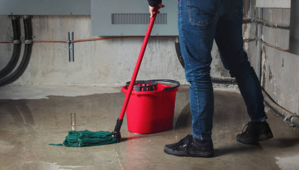 Best Professional water damage repair  in Merryville, LA